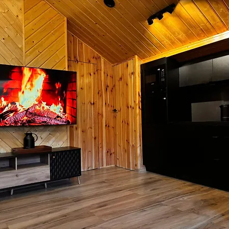 Апартаменты Apartament Szczyrk